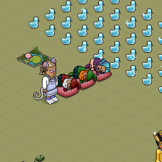 Photo by PVM