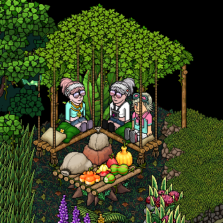 Photo by 0paL