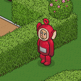 Photo by Blingie