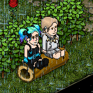 Photo by ladyDmorrison.