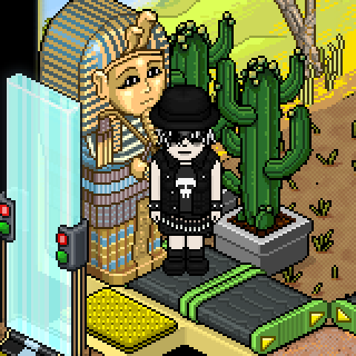 Photo by ladyDmorrison.