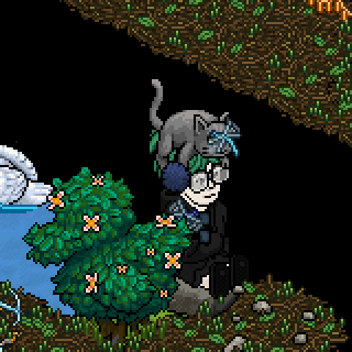 Photo by Ram-Ale