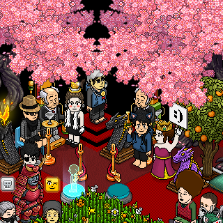 Photo by Vuit