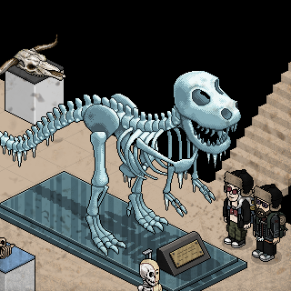 Photo by S:Summer
