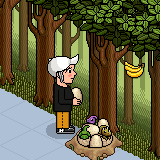 Photo by carrusel