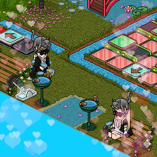 Photo by .:Killua:.