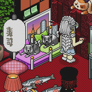 Photo by ICaroo,