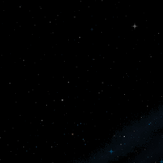 Photo by Bless