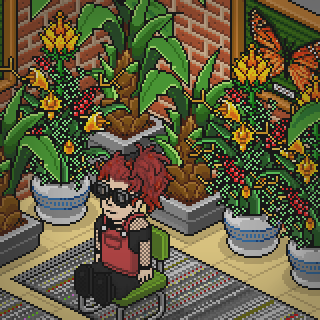 Photo by Aletrem