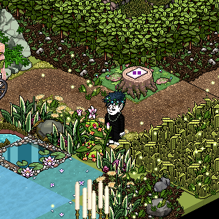 Photo by -.Tian