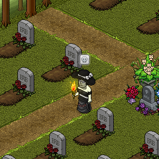 Photo by Habbo_David:.