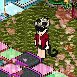 Photo by -.=atenea=.-