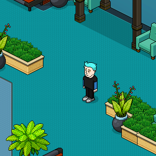 Photo by DANI80706