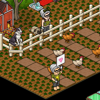 Photo by IMiza