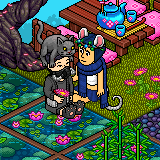 Photo by Aristeguii