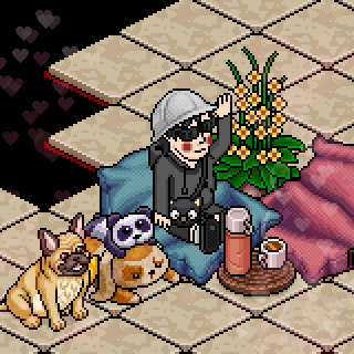 Photo by Aristeguii