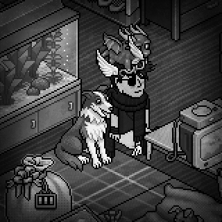 Photo by RickGrimes_TWD