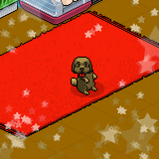 Photo by HabboBahiense