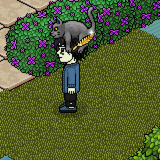 Photo by markitos443
