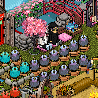 Photo by MCamilo.
