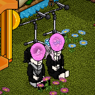 Photo by Kryeli