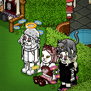 Photo by soymichelni