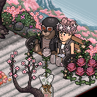 Photo by OREO=.