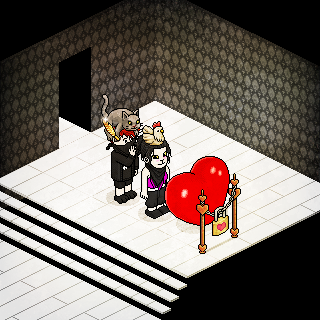 Photo by xlPoke