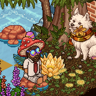 Photo by FerLSD.