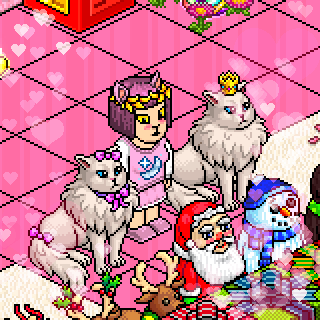 Photo by Gatita