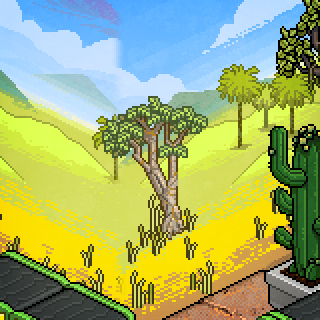 Photo by habbogiada