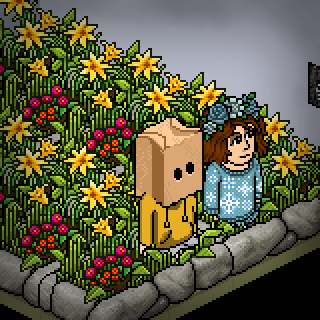 Photo by habbogiada