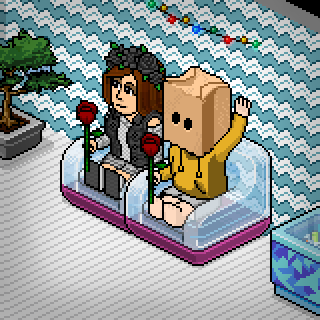 Photo by habbogiada