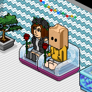 Photo by habbogiada