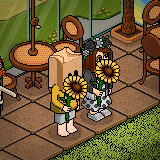 Photo by habbogiada