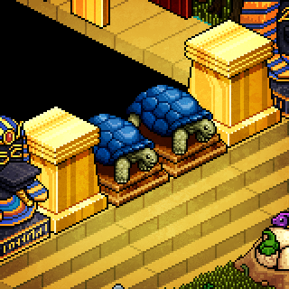 Photo by Badawis