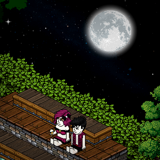 Photo by :D.a.m.i.a.n: