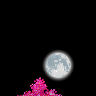Photo by wvvyz
