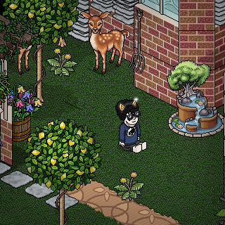 Photo by __Anubis__