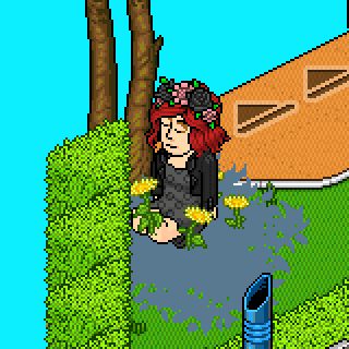 Photo by KarlaM55