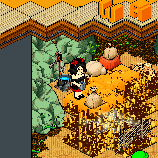 Photo by Yatzel.