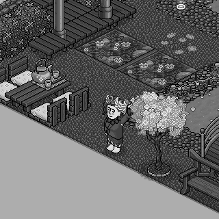 Photo by -noe-: