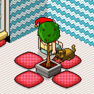Photo by ekelhaft