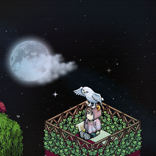 Photo by Haru._.