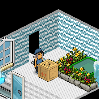 Photo by RivelHabbo