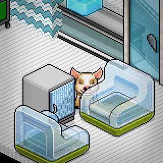 Photo by RivelHabbo