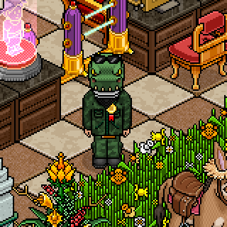 Photo by RivelHabbo