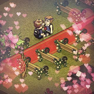 Photo by Aleex!