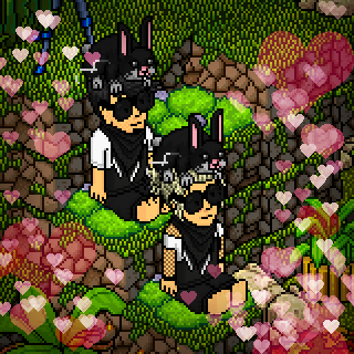 Photo by -SabriLu-