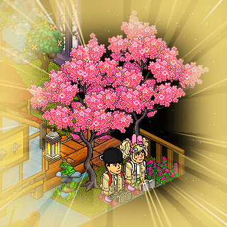 Photo by -SabriLu-